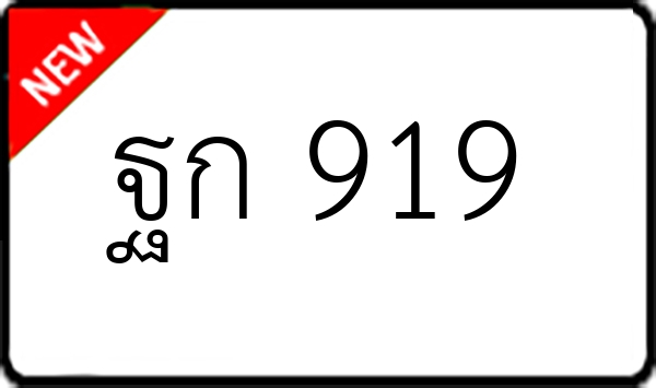 ฐก 919